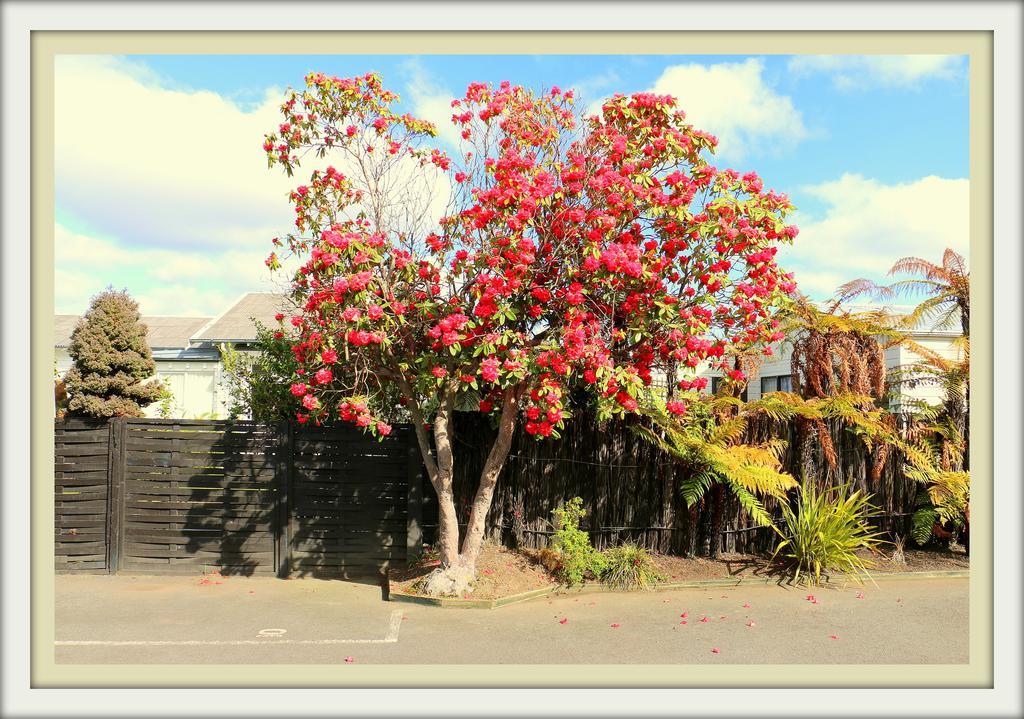 Victoria Lodge Rotorua Exterior foto