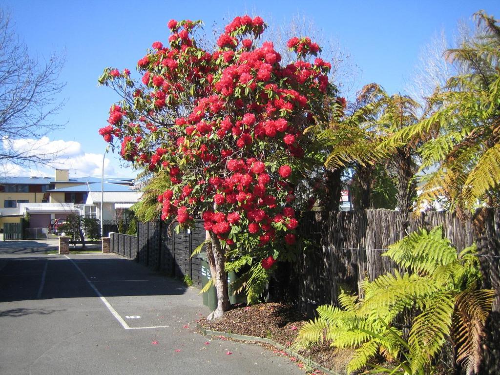 Victoria Lodge Rotorua Exterior foto